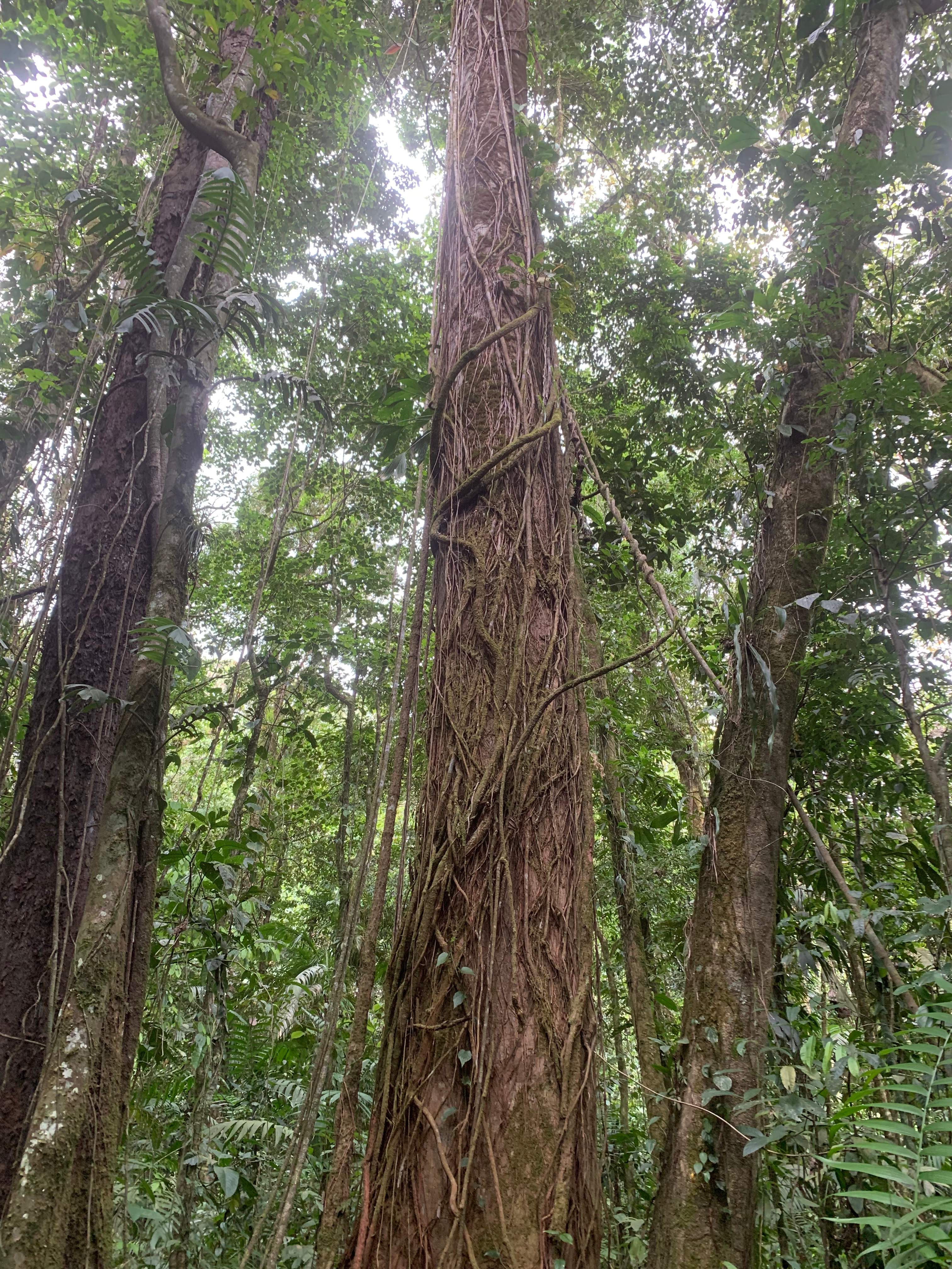 Costa Rica